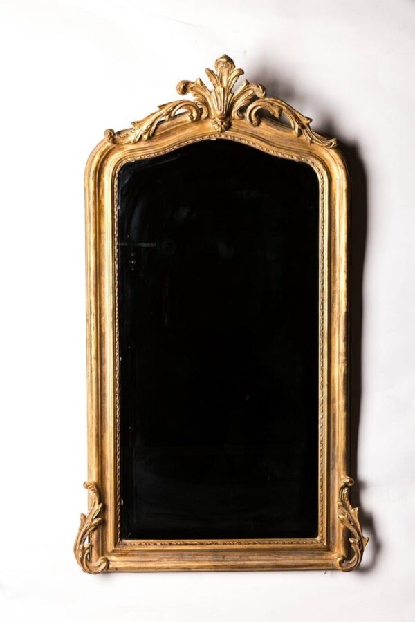 Ref. 1258 - Miroir Renard (85x144)