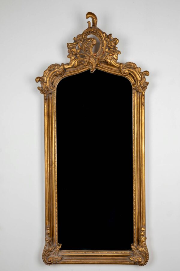 Ref. 1523 - Mirror Patrick (52x117)